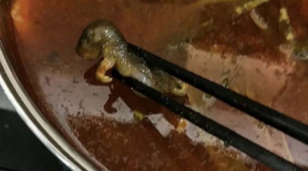 Китайская сеть ресторанов заплатила 190 млн долларов за крысу, обнаруженную в супе