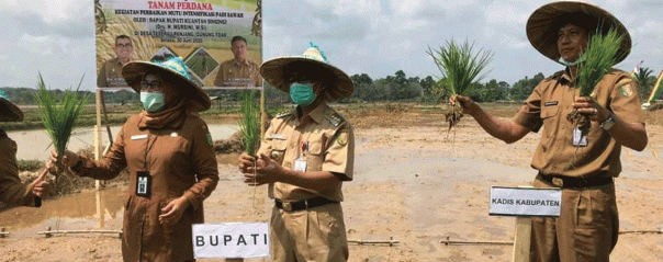 The First Planting of the Kuansing Regent, Drs. H. Mursini, M.Si