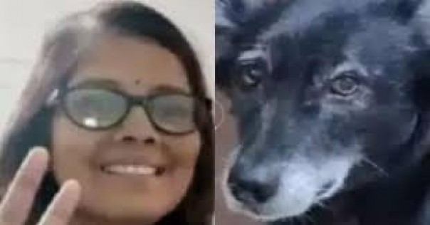Tragic,  a pet dog jumped to its death after the owner died 