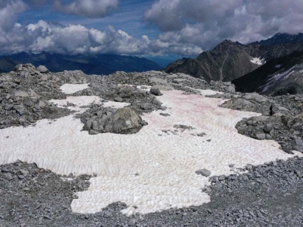 Pink snow in Italy