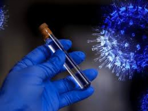 В России впервые выделили антитела против коронавируса