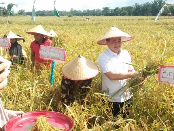 Deputy Regent of Kuantan Singingi Doing Greater Harvest  