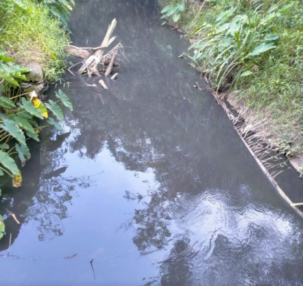 The Waste Abundant into the Kerumutan River