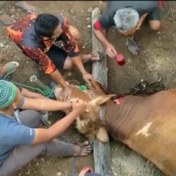 This old man drinks a glass of sacrificial animal blood