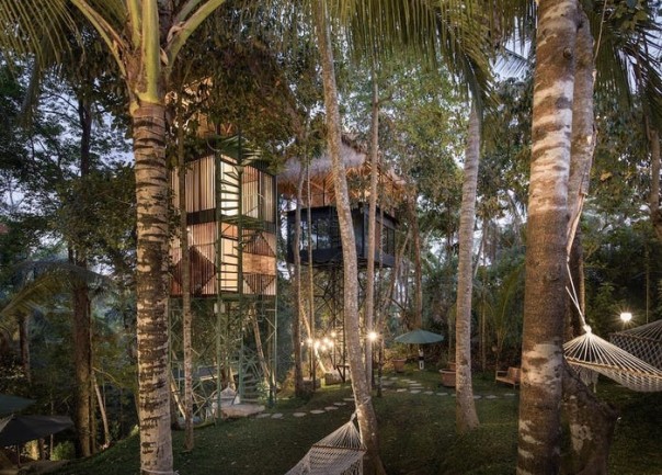 Amazing, Lift Bali Hotel in Ubud, has taken the concept of a treehouse to new heights, the price for a room is very cheap